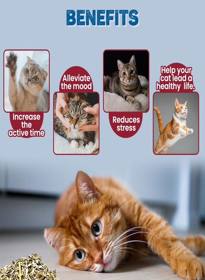 Trixie Premium Catnip for Cats, Natural Catnip Encourages Playful Behaviour in Cats, Can be Used on Toys and Scratch Post to Engage Your Cats - 20 Gm (Pack of 4) - Image 4